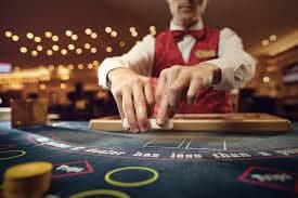 6z bet